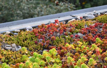 the cost of Worgret green roof installation