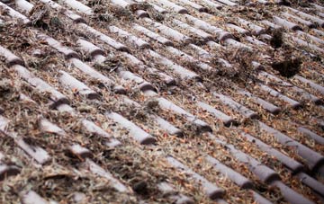 Worgret roof cleaning companies