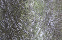 Worgret fibreglass roof work